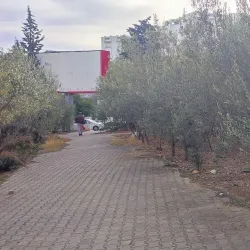 Community Gardens - Ennasr (Ennaser)