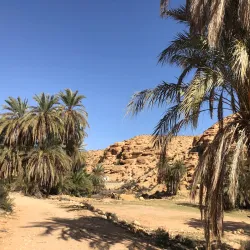 Neighborhood Walking Tours - Ennasr (Ennaser)