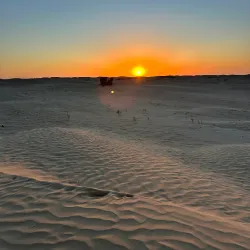 Neighborhood Walking Tours - Ennasr (Ennaser)