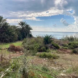 Salt Marshes of Ghar El Melh - Ghar El Melh
