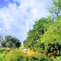 Salt Marshes of Ghar El Melh - Ghar El Melh