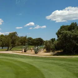 Hammamet Golf Club - Hammamet