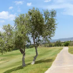 Hammamet Golf Club - Hammamet
