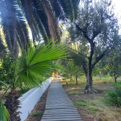 International Cultural Centre of Hammamet - Hammamet