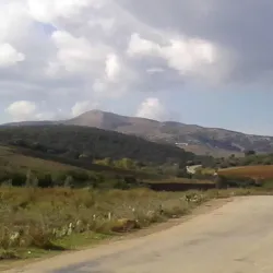 Fernana Forest - Jendouba