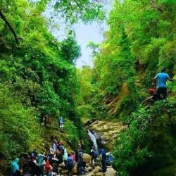 Fernana Forest - Jendouba