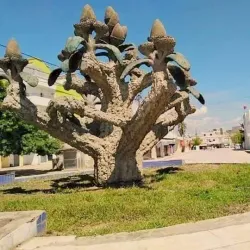 Fernana Forest - Jendouba