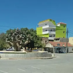 Fernana Forest - Jendouba