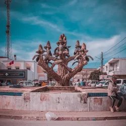 Fernana Forest - Jendouba