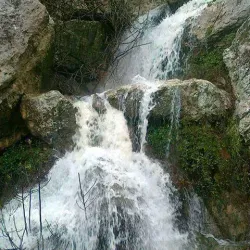 Fernana Forest - Jendouba