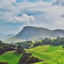 Fernana Forest - Jendouba