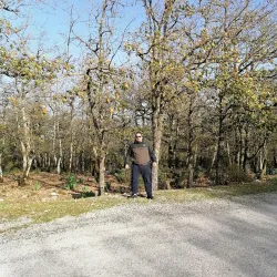 Kroumirie Mountains - Jendouba