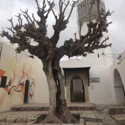 Sidi Boumakhlouf Shrine - Jendouba