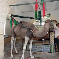 Bir Barouta - Kairouan