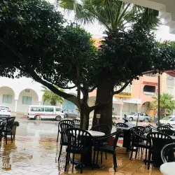 Local Cafes and Restaurants - Ksar Hellal