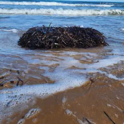 La Marsa Corniche - La Marsa (Al Marsa)