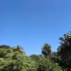 Belvedere Park - Le Kram