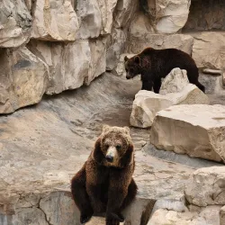 Belvedere Park - Le Kram