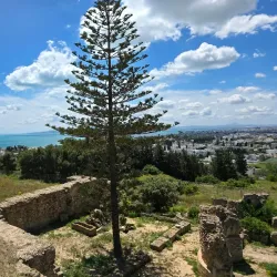 Carthage Byrsa Hill - Le Kram