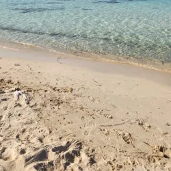 Chebba Beach - Mahdia