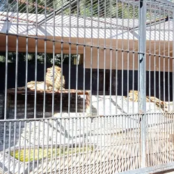 Belvedere Park (Parc du Belvédère) - Manouba