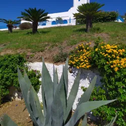 Sidi Bou Said - Manouba