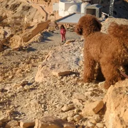 Chenini Village - Medenine