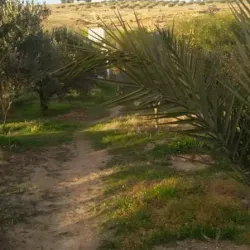 Barrage Lebna - Menzel Temime