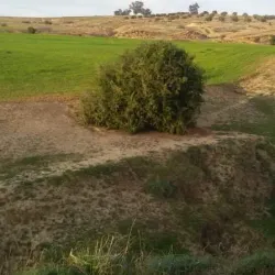Barrage Lebna - Menzel Temime