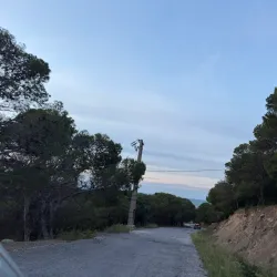 Boukornine National Park - Menzel Temime