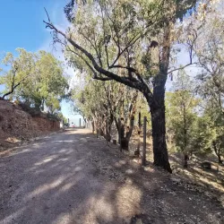 Boukornine National Park - Menzel Temime