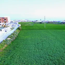 Menzel Temime Airfield - Menzel Temime