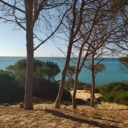 Sidi Ali El Mekki Beach - Menzel Temime