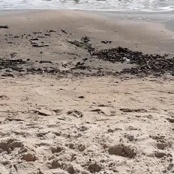 Sidi Ali El Mekki Beach - Menzel Temime