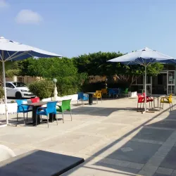 Cultural Festivals and Events - Mohammedia (Mhamdia)