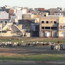 Mhamdia Mosque - Mohammedia (Mhamdia)