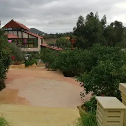 Agritourism Farms - Mornag