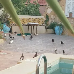 Agritourism Farms - Mornag