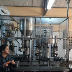 Mornag Vineyards - Mornag