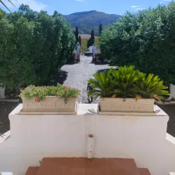 Mornag Vineyards - Mornag