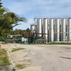 Mornag Vineyards - Mornag