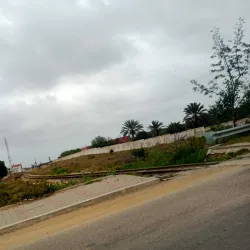 Cultural Festivals - M'saken (Masakin)