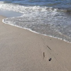 Nearby Beaches - M'saken (Masakin)