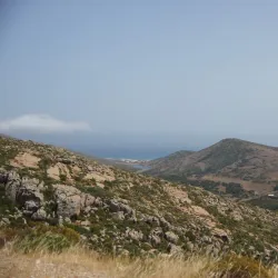 Cap Bon Peninsula - Nabeul (Nabul)