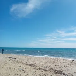 Plage de Nabeul (Nabeul Beach) - Nabeul (Nabul)