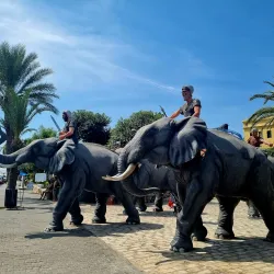 Carthage Land - Port El Kantoui