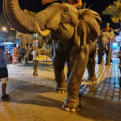 Carthage Land - Port El Kantoui