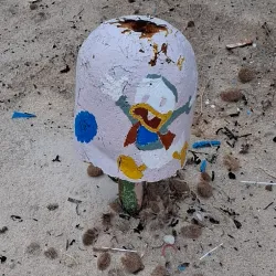 Port El Kantoui Beach - Port El Kantoui