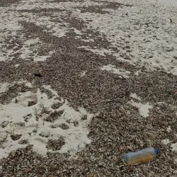 Port El Kantoui Beach - Port El Kantoui