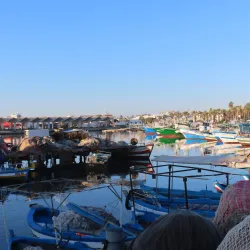 Local Fishing Harbor - Sahline
